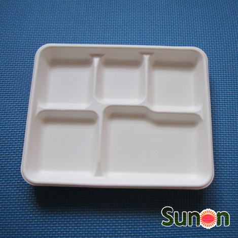 bagasse trays