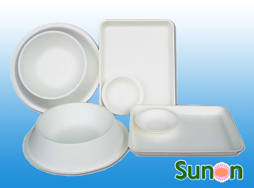 bagasse trays