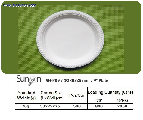 9 inch Plate