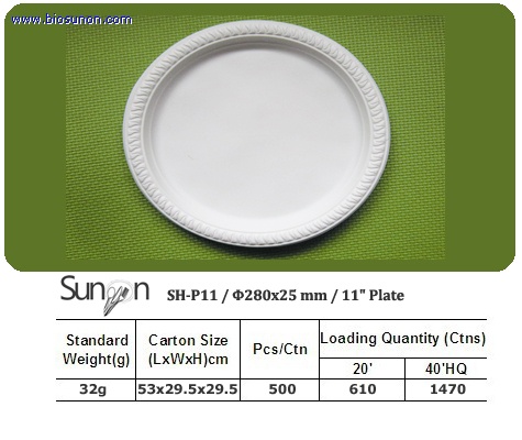 11 inch Plate